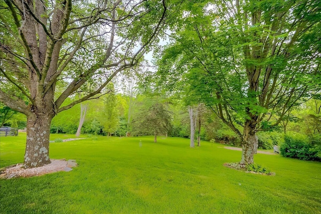 428 Shady Brook Dr, Richmond, KY 40475 - view of grassy yard