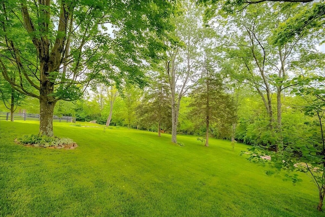 428 Shady Brook Dr, Richmond, KY 40475 - view of green lawn