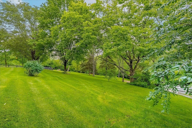 428 Shady Brook Dr, Richmond, KY 40475 - view of yard