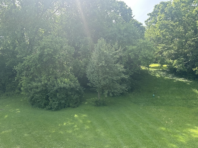 367 N N Estill Ave, Richmond, KY 40475 - view of undeveloped land