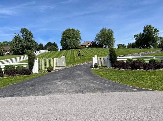 1740 Gose Pike, Danville, KY 40422 - view of asphalt driveway