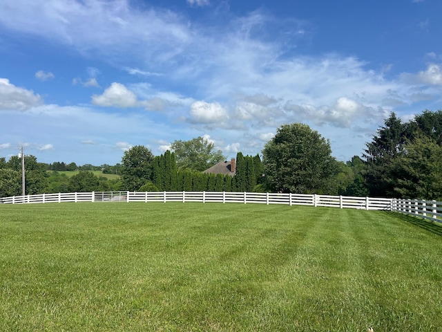 1740 Gose Pike, Danville, KY 40422 - view of yard