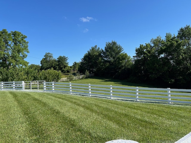 1740 Gose Pike, Danville, KY 40422 - view of yard