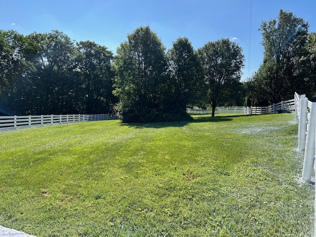 1740 Gose Pike, Danville, KY 40422 - view of yard