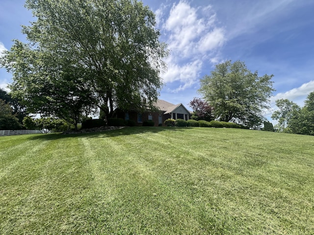 1740 Gose Pike, Danville, KY 40422 - view of yard