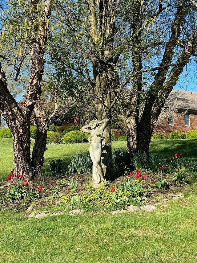 1740 Gose Pike, Danville, KY 40422 - view of yard