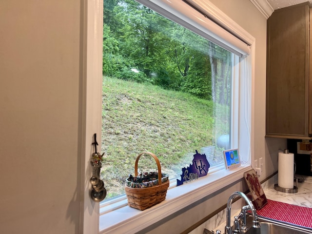 233 Bearskin Holw, Morehead, KY 40351 - detailed view of ornamental molding and a sink