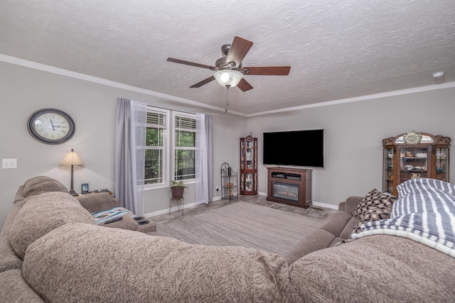 233 Bearskin Holw, Morehead, KY 40351 - living room featuring ornamental molding, ceiling fan, baseboards, a textured ceiling, and a glass covered fireplace