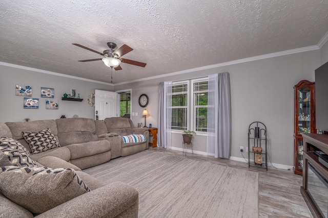 233 Bearskin Holw, Morehead, KY 40351 - living area featuring ceiling fan, wood finished floors, a textured ceiling, baseboards, and crown molding