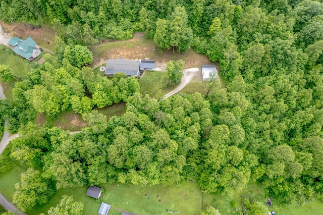 233 Bearskin Holw, Morehead, KY 40351 - aerial overview of property's location