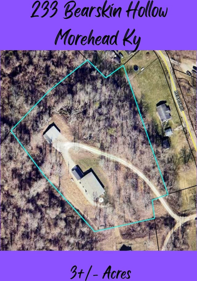 233 Bearskin Holw, Morehead, KY 40351 - aerial overview of property's location with property boundaries highlighted