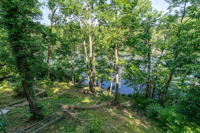 274 Oster Dr, Harrodsburg, KY 40330 - view of local wilderness