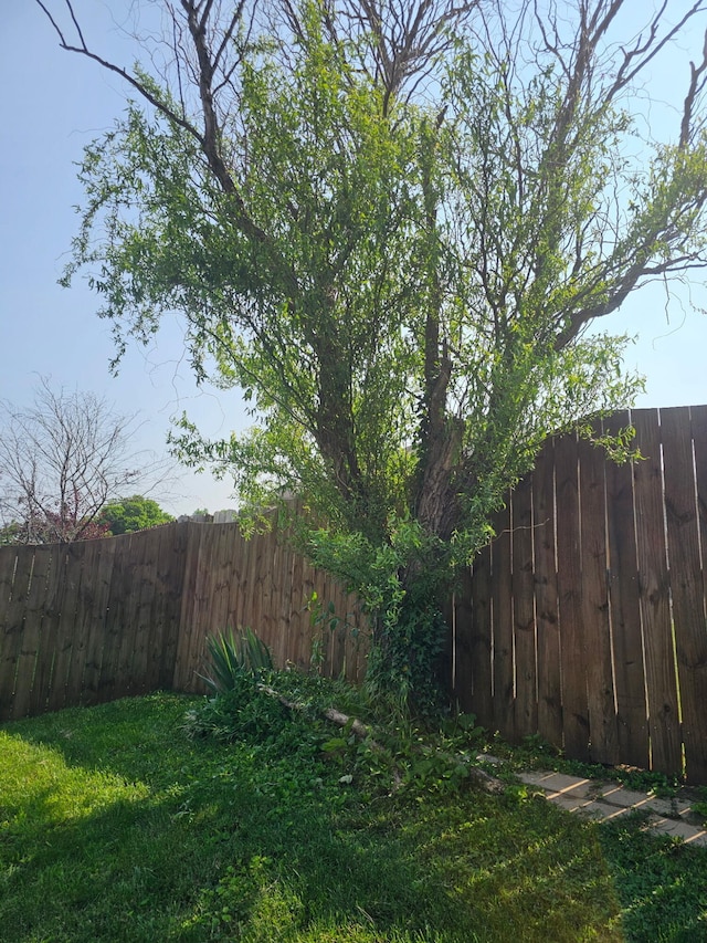 105 Herrington Hwy, Georgetown, KY 40324 - view of yard