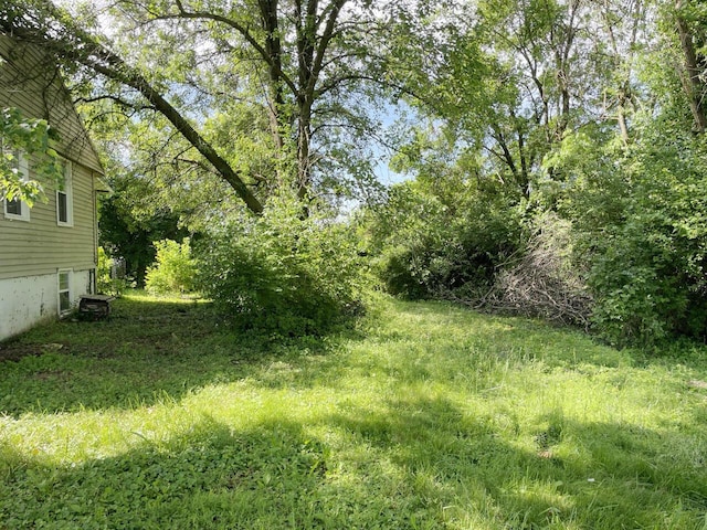 1690 Menelaus Rd, Berea, KY 40403 - view of yard