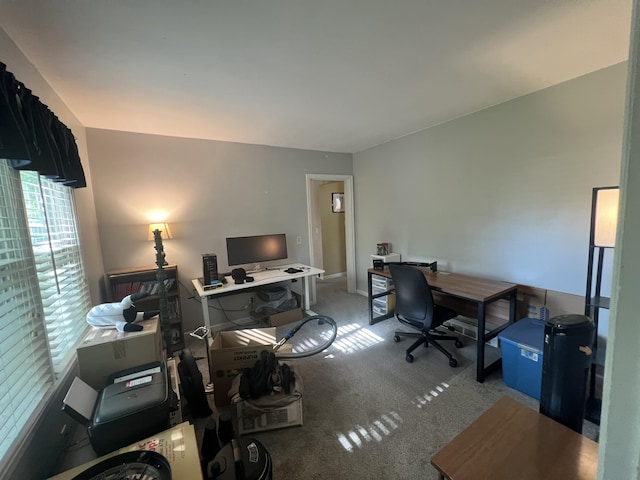 122 Mac Ct, Harrodsburg, KY 40330 - view of carpeted office space