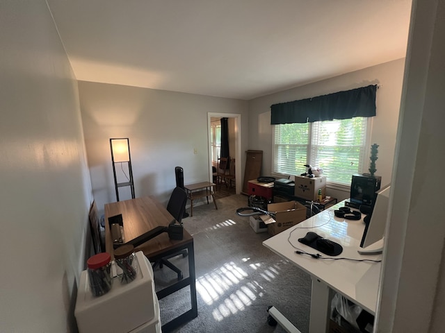 122 Mac Ct, Harrodsburg, KY 40330 - view of carpeted office space