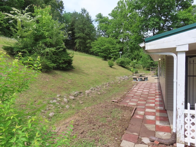 3200 US-60 W, Morehead, KY 40351 - view of yard