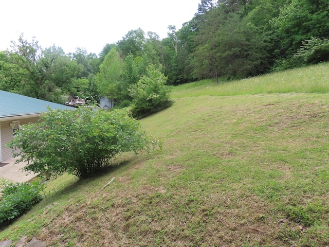 3200 US-60 W, Morehead, KY 40351 - view of green lawn
