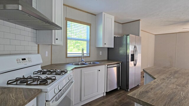 2499 Sacker Rd, Manchester, KY 40962 - kitchen featuring appliances with stainless steel finishes, exhaust hood, a sink, dark wood finished floors, and white cabinets