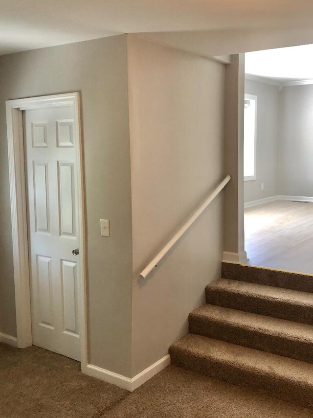 624 Richardson Ln, Frankfort, KY 40601 - staircase featuring baseboards and carpet floors