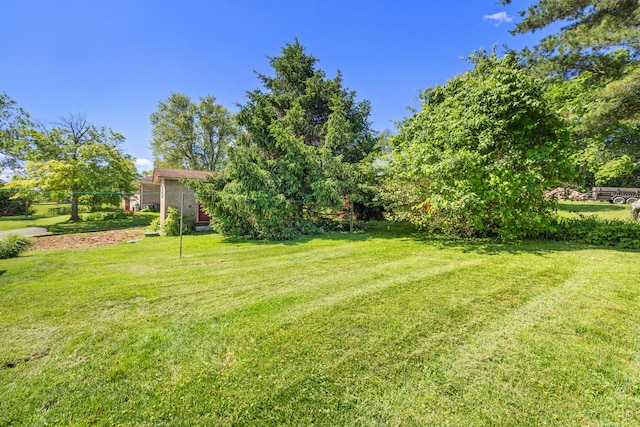 4496 Fords Mill Rd, Versailles, KY 40383 - view of grassy yard