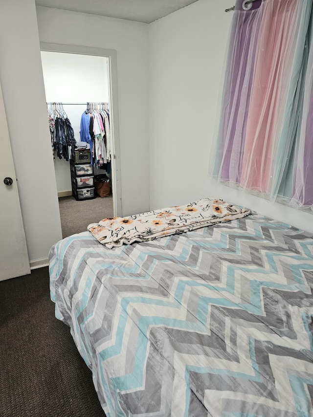 270 Newcomb Ave, Mount Vernon, KY 40456 - carpeted bedroom with a walk in closet and a closet