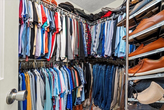 253 Gateway Park Cir, Lexington, KY 40511 - view of spacious closet
