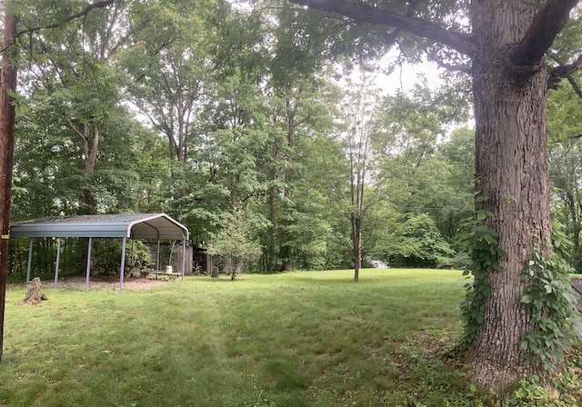 1184 Snow Creek Rd, Clay City, KY 40312 - view of grassy yard with a carport and a view of trees