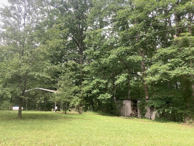 1184 Snow Creek Rd, Clay City, KY 40312 - view of grassy yard with a wooded view
