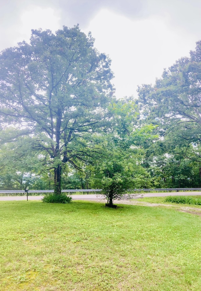 1184 Snow Creek Rd, Clay City, KY 40312 - view of grassy yard
