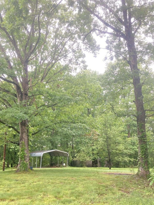 1184 Snow Creek Rd, Clay City, KY 40312 - view of green lawn featuring a detached carport and a wooded view