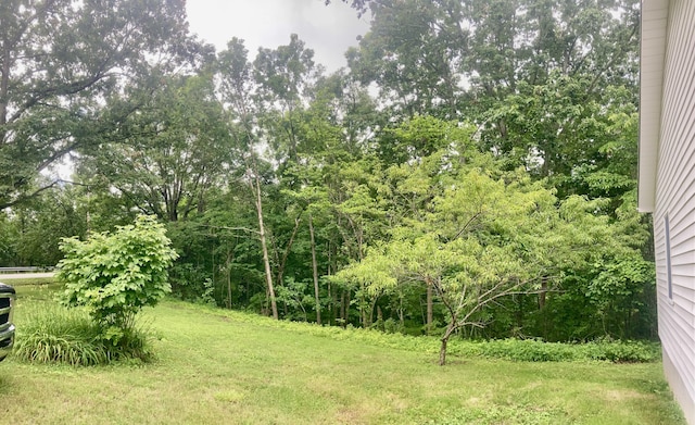 1184 Snow Creek Rd, Clay City, KY 40312 - view of green lawn
