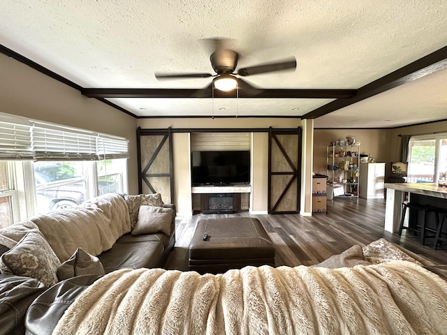 1126 College Hill Rd, Waco, KY 40385 - living area with a textured ceiling, a barn door, crown molding, wood finished floors, and a ceiling fan
