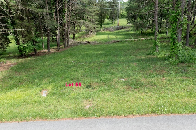 LOT55 Deerhaven Dr, Somerset, KY 42501