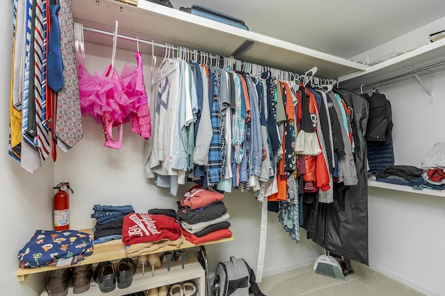 1025 Stowbridge Ln, Lexington, KY 40515 - walk in closet with carpet
