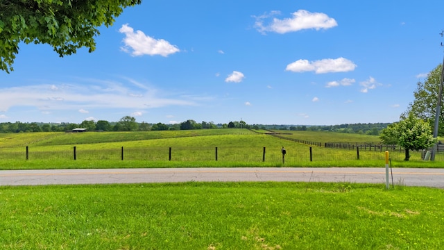 10165 Clifton Rd, Versailles, KY 40383 - view of yard featuring a rural view