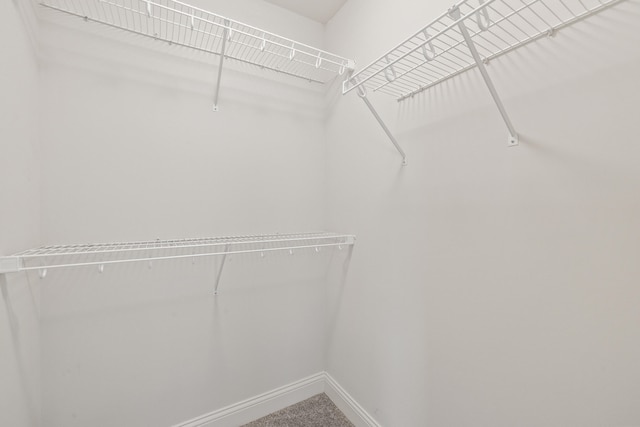 216 Blackthorn Dr, Nicholasville, KY 40356 - walk in closet featuring carpet