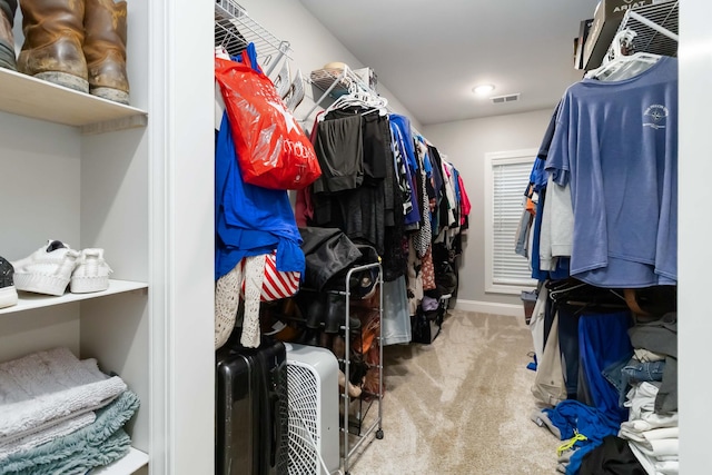 2002 Emerald Way, Richmond, KY 40475 - walk in closet featuring carpet flooring
