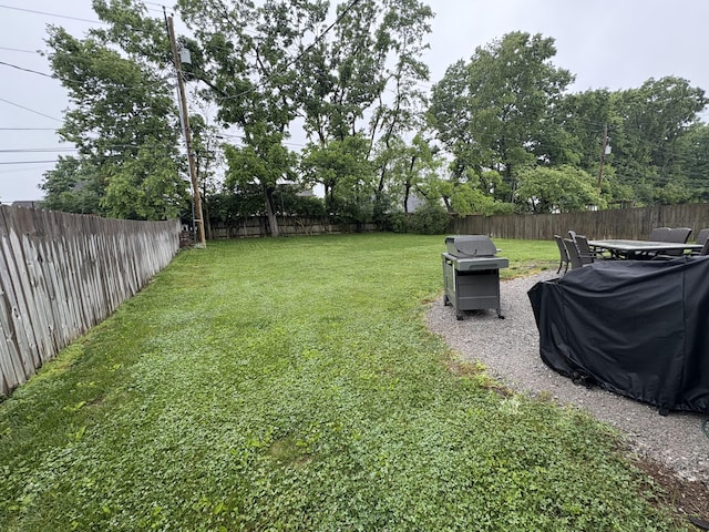 524 Cromwell Way, Lexington, KY 40503 - view of yard