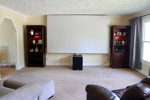 524 Cromwell Way, Lexington, KY 40503 - carpeted living area featuring a textured ceiling, crown molding, and baseboards