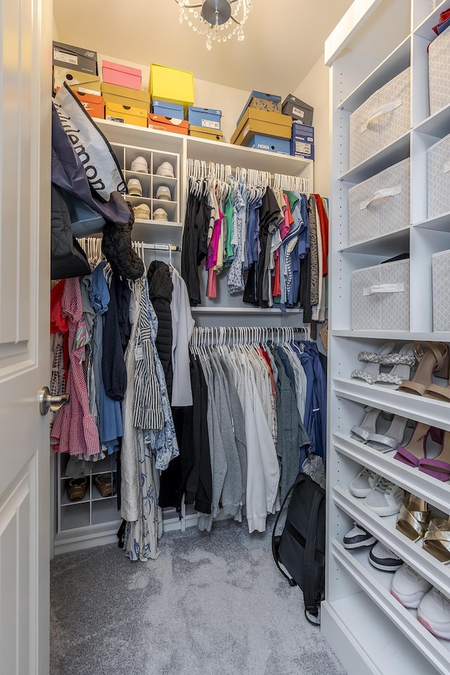 320 Manitoba Ln, Lexington, KY 40515 - spacious closet featuring carpet flooring