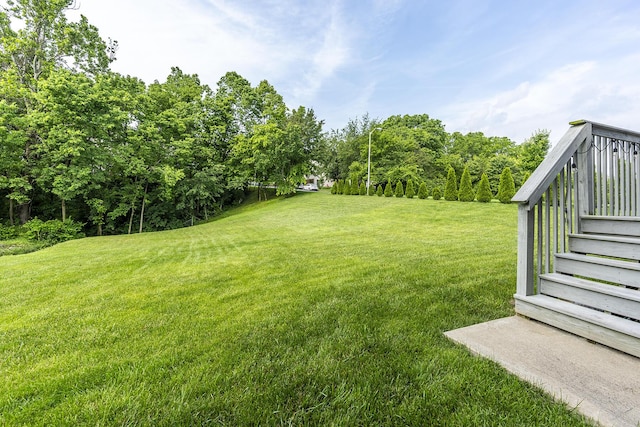 320 Manitoba Ln, Lexington, KY 40515 - view of grassy yard
