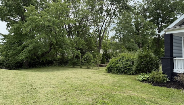 606 Prospect St, Berea, KY 40403 - view of green lawn