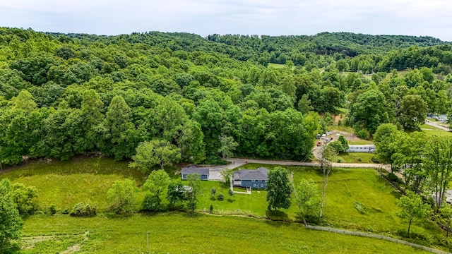 110 Witt Rd, London, KY 40741 - aerial view of a forest