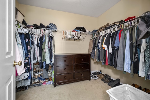 164 River Run Dr, Lancaster, KY 40444 - walk in closet featuring carpet