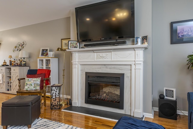 395 Redding Rd Unit 19, Lexington, KY 40517 - living area featuring wood finished floors, a premium fireplace, and baseboards
