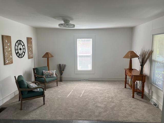 505 Burkesville St, Columbia, KY 42728 - living area featuring carpet and ceiling fan