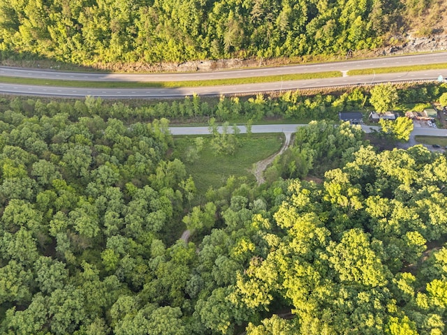12332 Campton Rd, Stanton, KY 40380