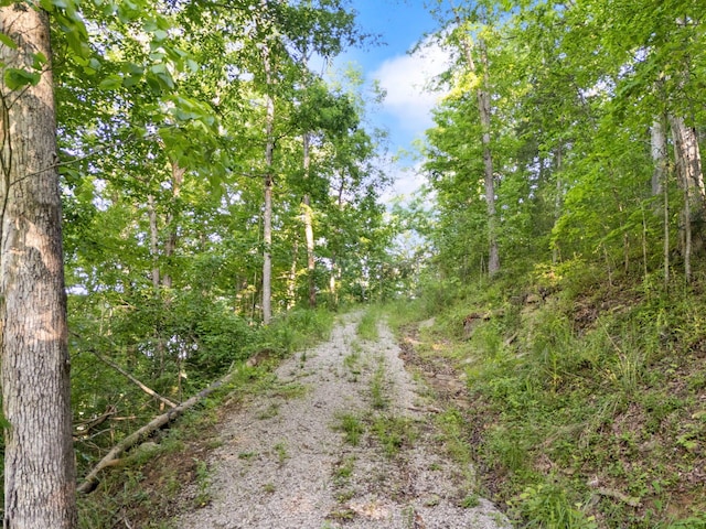 12332 Campton Rd, Stanton, KY 40380