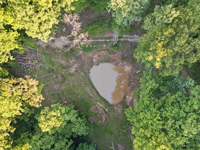 12332 Campton Rd, Stanton, KY 40380